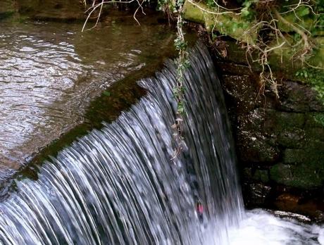 Not entirely sure there was a weir here, aesthetic reasons presumably, wasn't big enough for much else. Hermitage of Braid, Edinburgh