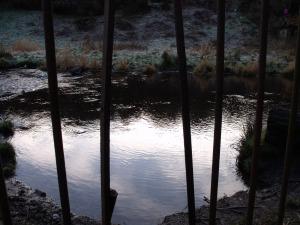 Sun reflecting on the water through the rusting old fence Hermitage of Braid, Edinburgh