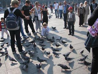 VISITANDO VENEZIA! VISITANDO VENEZIA!