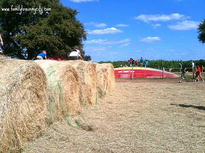Corn shootin' and Hay ridin' at the South Texas Maize