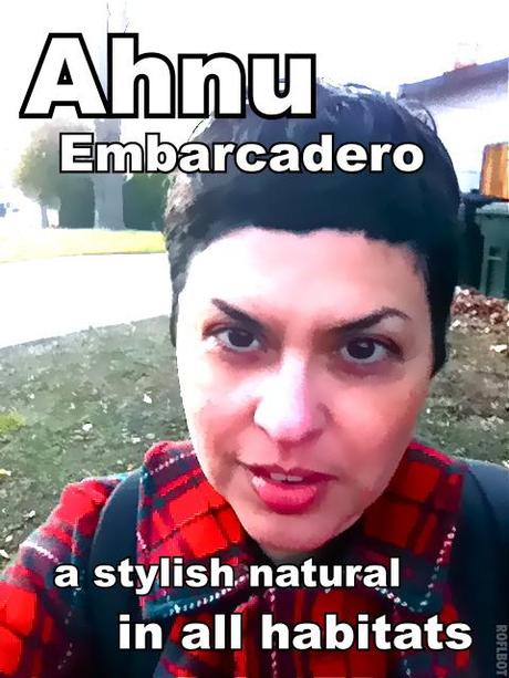 The Ahnu Embarcadero Boot: A Product Review The Ahnu Embarcadero Boot: A Product Review