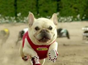 Dogs Star in Super Bowl Ads