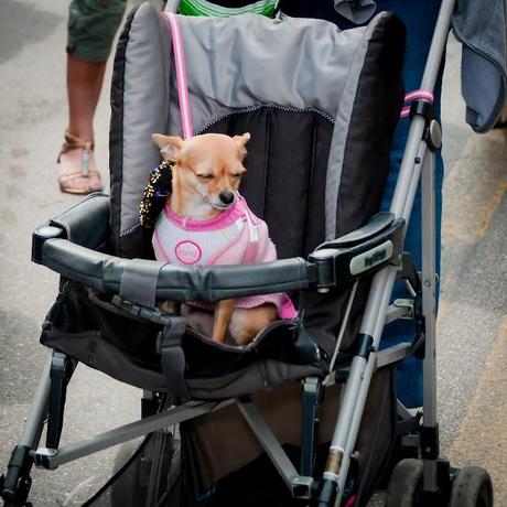 WHAT ARE THE KIDS DOING AT ART DECO???? BY PHYLLIS WHAT ARE THE KIDS DOING AT ART DECO???? BY PHYLLIS