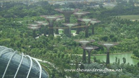 High Above the City State: Experiencing the Singapore Flyer