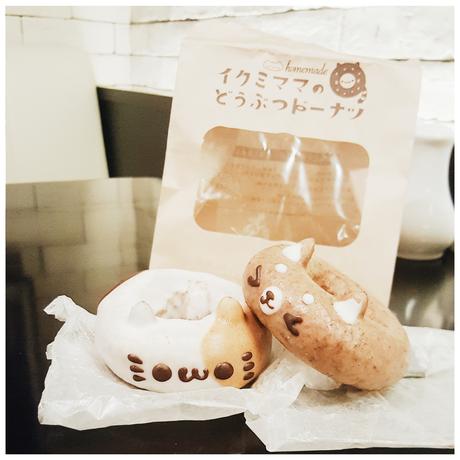 Daisybutter - Hong Kong Lifestyle and Fashion Blog: kawaii cat donuts