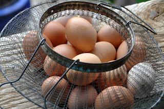 An Abundance of Eggses