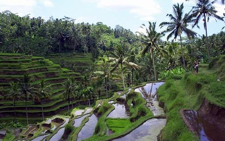 Nailing Down the Ideal Destinations to See in Bali