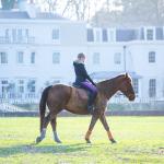 ACTIVE ESCAPE: SANTORINI ! Fitness On Toast Faya Blog Girl Healthy Workout Idea Riding Coworth Park Equestrian Center Horse Fit Health Calorie Burn Muscle Tone Benefits of Riding-3