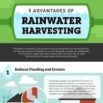  Why Should You Install A Rainwater Harvesting System?