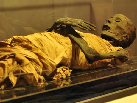 What are Mummies?