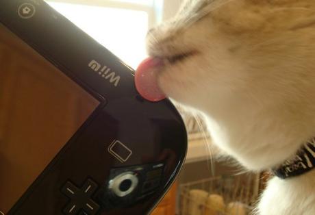 Top 10 Nerdy Nintendo Fanboy Cats Top 10 Nerdy Nintendo Fanboy Cats