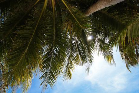 Simple Ways to Make the Most of a Romantic Getaway romantic-getaway2