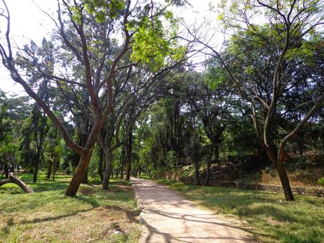 The Garden City of Bangalore