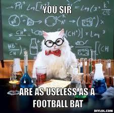 20 More of the Most Useless Websites Ever images cat