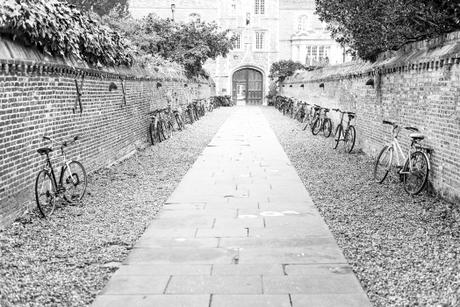Cambridge wears black and white DSC_7139-3
