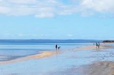 Fraser Island – What Is It Famous For? Fraser Island – What Is It Famous For?