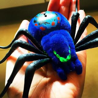Wild Pets Spiders Review