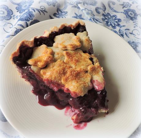 A Blueberry Pie to Write Home About photo DSCN3218_zpstldlzlad.jpg