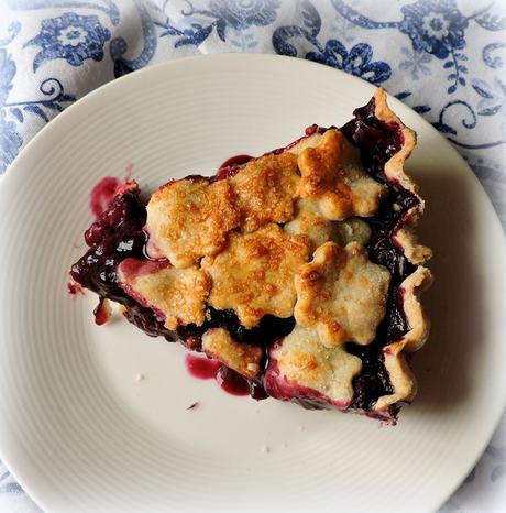 A Blueberry Pie to Write Home About photo DSCN3220_zpsp3nttckb.jpg