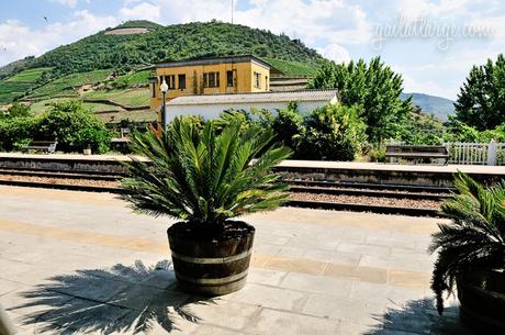 Pinhão Railway Station (Douro Valley, Portugal) (4)