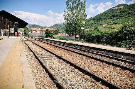 Pinhão Railway Station (Douro Valley, Portugal) (3)