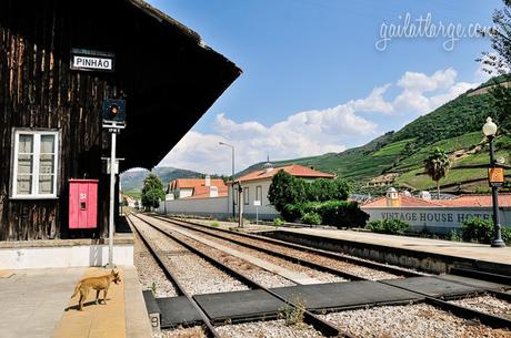 Pinhão Railway Station (Douro Valley, Portugal) (2)