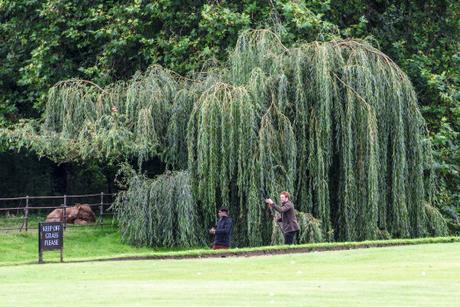Cam peak hours: boat-jams in Cambridge DSC_7518