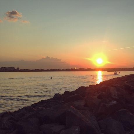 Last of Summer Loves Last of Summer Loves
