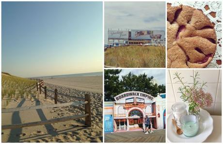 Last of Summer Loves Last of Summer Loves