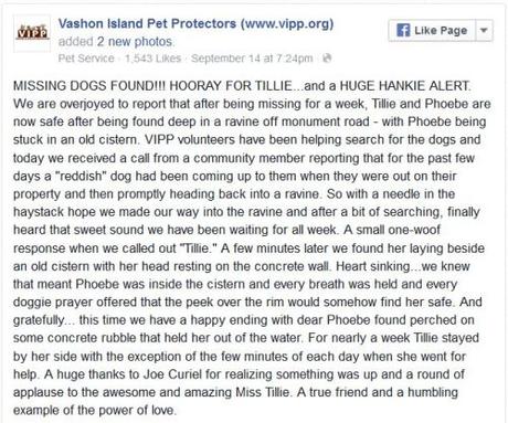 Dog found help for friend stuck for a week in a ravine VIPP Facebook