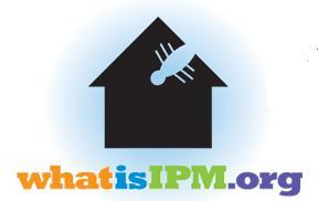 Why you shouldn’t bug spray in your home every month? whatisipm