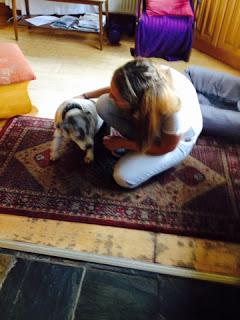 Summer 2015 Summer 2015