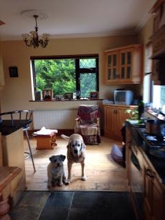 Summer 2015 Summer 2015