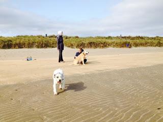 Summer 2015 Summer 2015