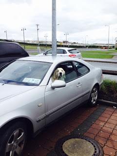 Summer 2015 Summer 2015