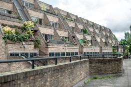 British archi-diversity: the Cambridge case DSC_7155