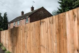 British archi-diversity: the Cambridge case DSC_7102