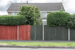 British archi-diversity: the Cambridge case DSC_7288