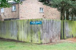 British archi-diversity: the Cambridge case DSC_7093