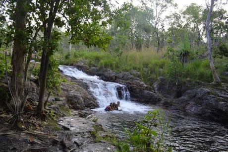 OFF THE BEATEN TRACK  PART-2 : Plunging into waterfalls at Litchfield National Park