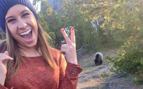 Colorado Trail Remains Closed Because People Are Taking Too Many Selfies With Bears