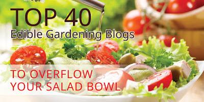 Mr Tomato King has been featured in the Top 40 Edible Gardening Blogs,