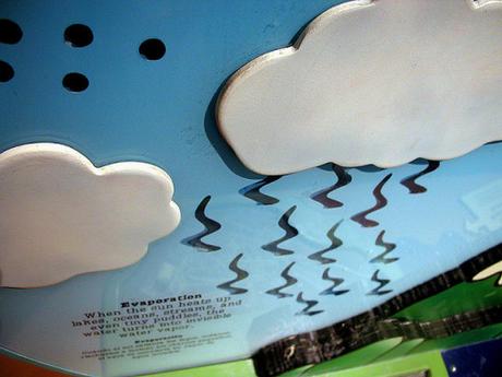 The Water Cycle and Different Stages of The Water Cycle evaporation