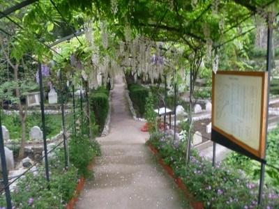 Backpacking in Gibraltar: Top 20 Sights in Gibraltar’s Capital Trafalgar Cemetery