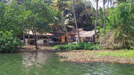 The Backwaters of Kerala