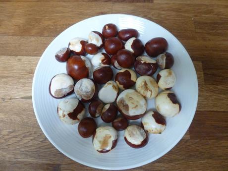 Conkers, Sticks and Blackberries