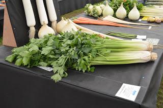 The Malvern Autumn Show - of long carrots and rabbits