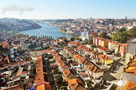 Porto, from across the Douro River in Vila Nova de Gaia (4)