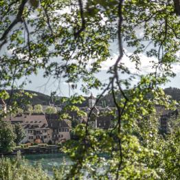 Similitudes deux _DSC0244