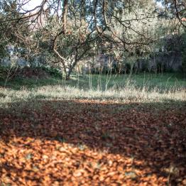 Similitudes deux _DSC0351